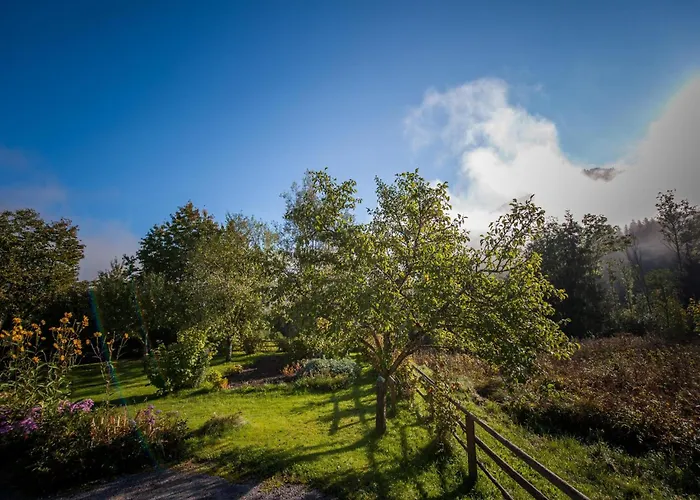 Pistenblick Forstau (Salzburg)